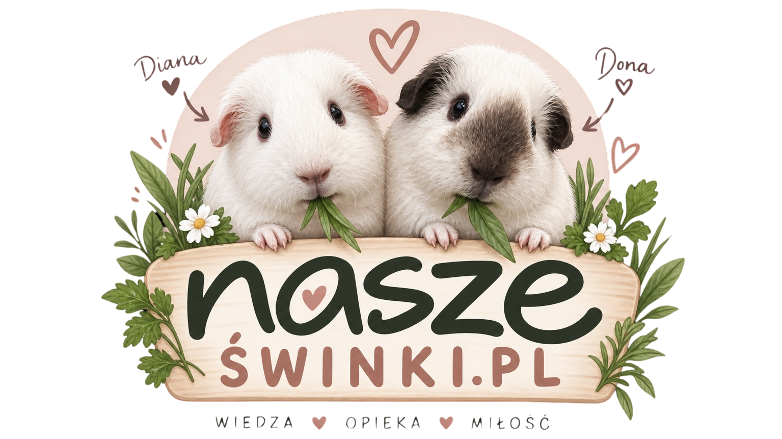 naszeswinki_logo
